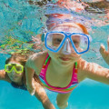 Exploring the Underwater Wonders of Panama City Beach