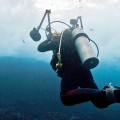 Night-Snorkelling in Panama City Beach: An Unforgettable Experience