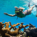Snorkeling in Panama City Beach: An Expert's Guide