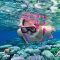 Unleash Your Inner Explorer With Snorkeling In Panama City, FL