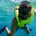 Discover the Best Spots for Snorkeling in Panama City Beach, Florida
