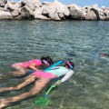 Explore the Magical Underwater World of Panama City Beach