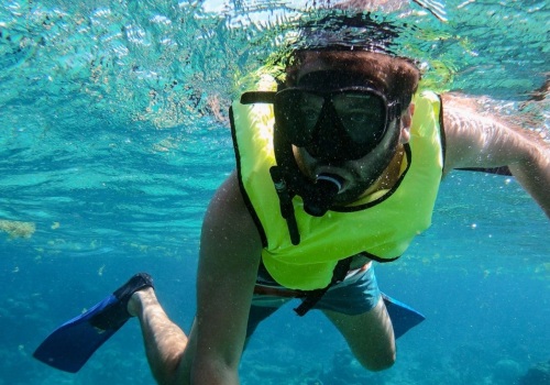 Are there any seagrass beds near panama city, fl that are good for snorkeling?