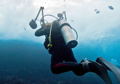 Night-Snorkelling in Panama City Beach: An Unforgettable Experience