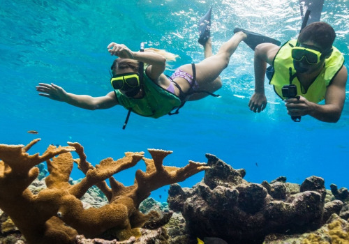 Snorkeling in Panama City Beach: An Expert's Guide