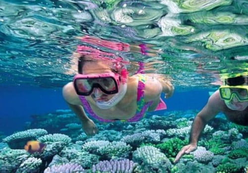 Unleash Your Inner Explorer With Snorkeling In Panama City, FL
