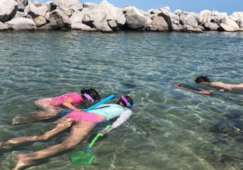 Explore the Magical Underwater World of Panama City Beach